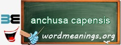 WordMeaning blackboard for anchusa capensis